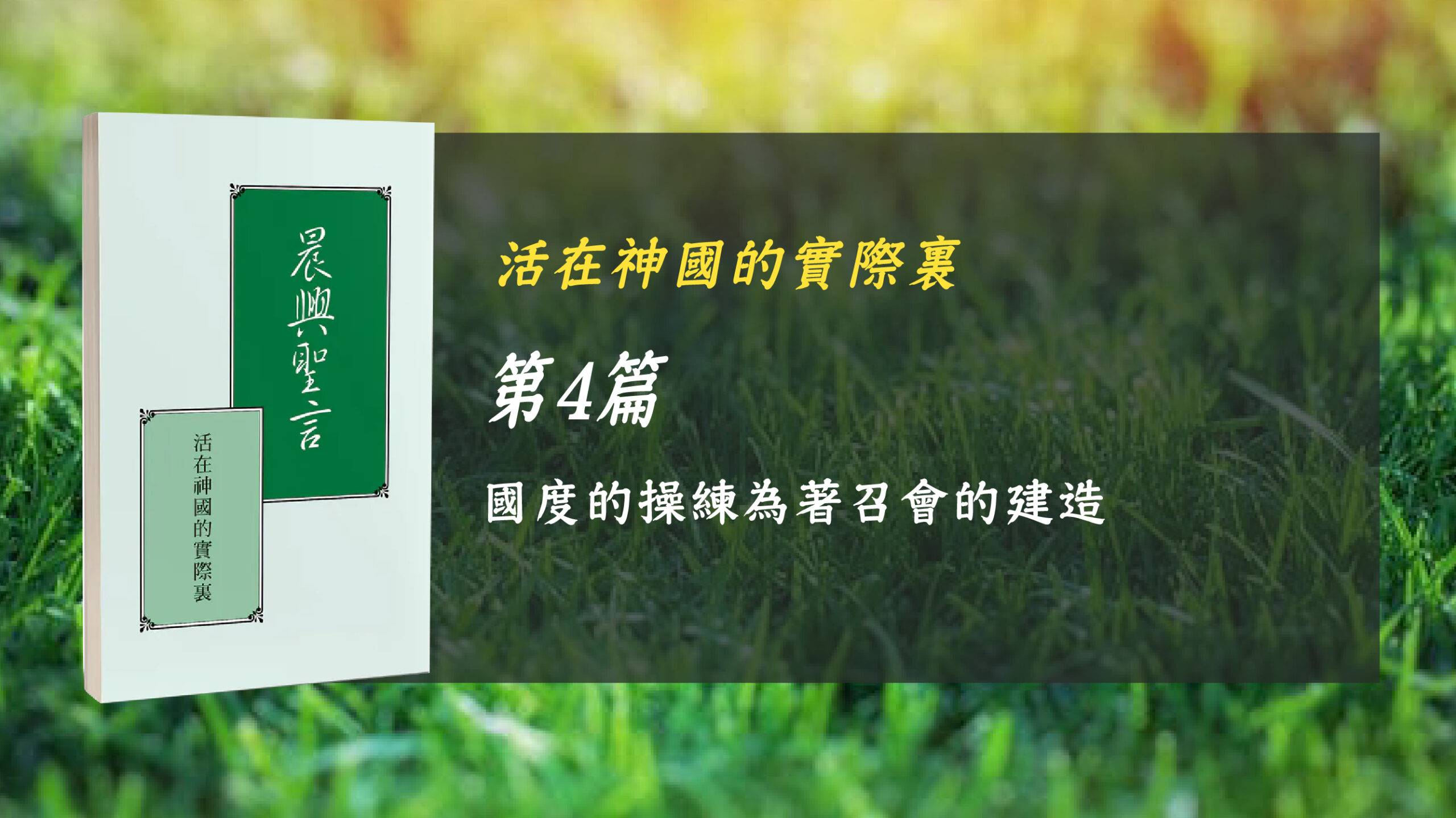 You are currently viewing 國際長老及負責弟兄訓練2024- 第四週 國度的操練爲着召會的建造