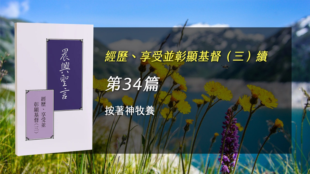 You are currently viewing 半年度訓練2025- 第三十四週 按著神牧養