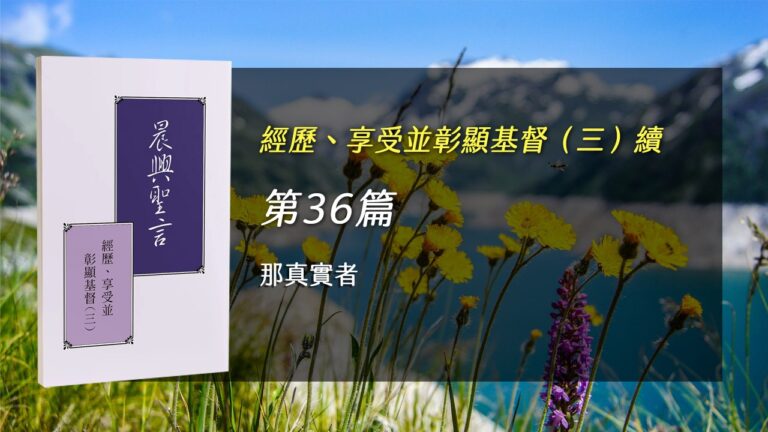 Read more about the article 半年度訓練2025- 第三十六週 那真實者