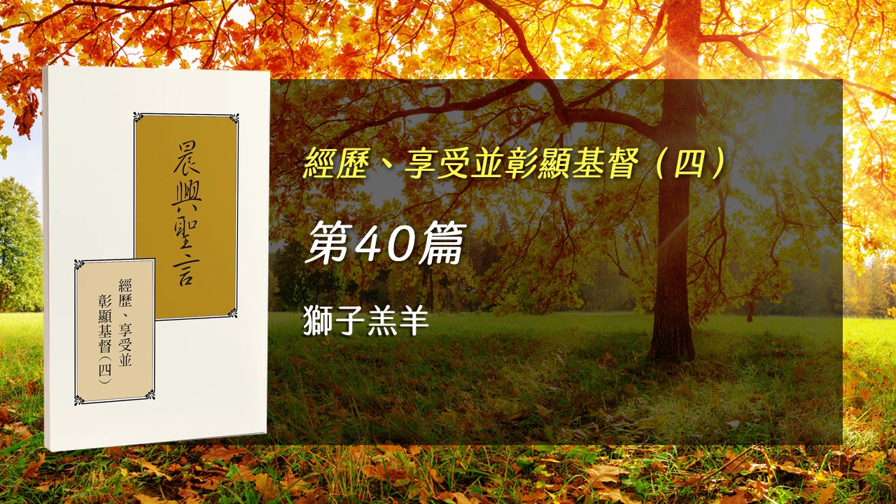 You are currently viewing 半年度訓練2025- 第四十週 獅子羔羊