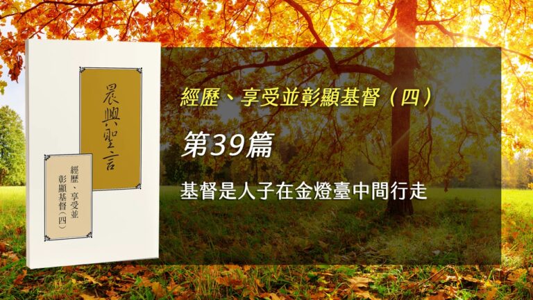 Read more about the article 半年度訓練2025- 第三十九週 基督是人子在金燈臺中間行走