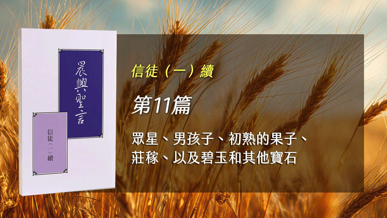 You are currently viewing 半年度訓練2026- 第十一週 眾星、男孩子、初熟的果子、莊稼、以及碧玉和其他寶石