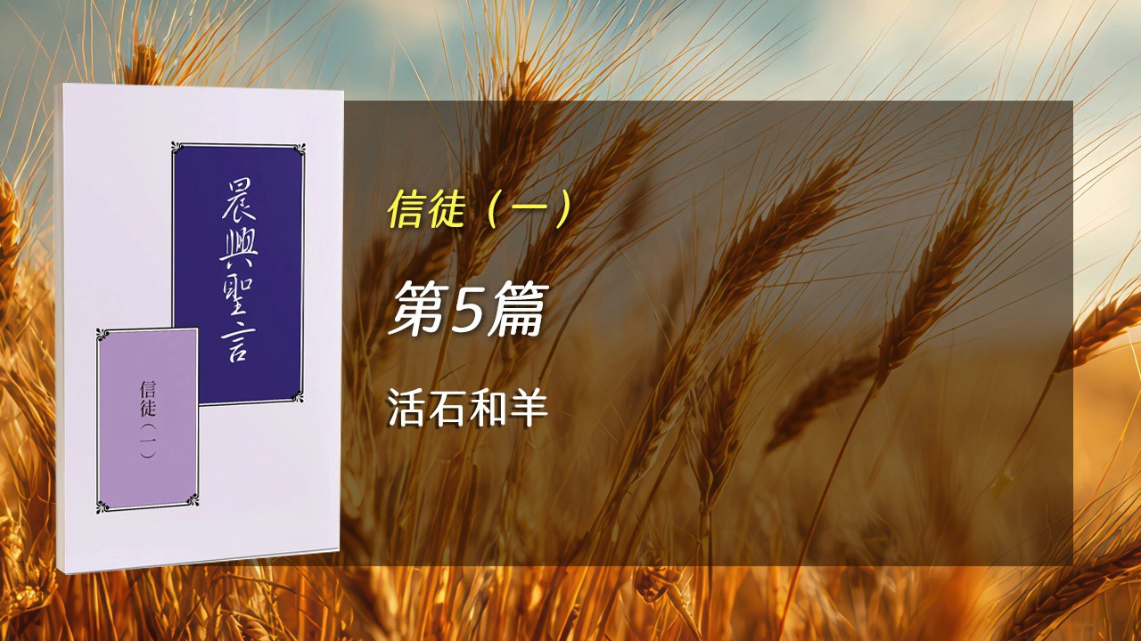 You are currently viewing 半年度訓練2026- 第五週 活石和羊